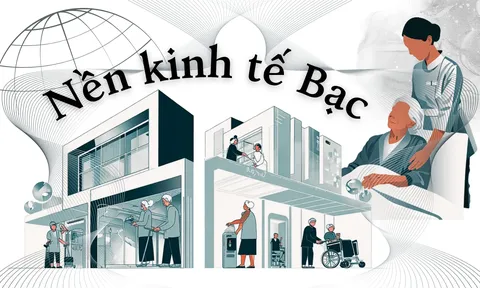 Phát triển kinh tế bạc thích ứng chính sách, chiến lược của Việt Nam