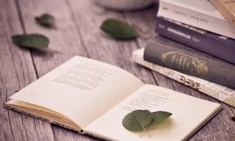 Xung đột giá trị và bản lĩnh nhà văn