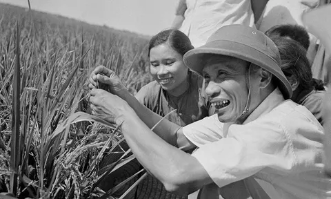 Thủ tướng Phạm Văn Đồng – Người đặt nền móng cho phát triển nền kinh tế tự lực tự cường