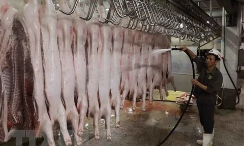 Công điện về kiểm soát giết mổ, tăng cường kỷ luật, kỷ cương trong thực thi công vụ