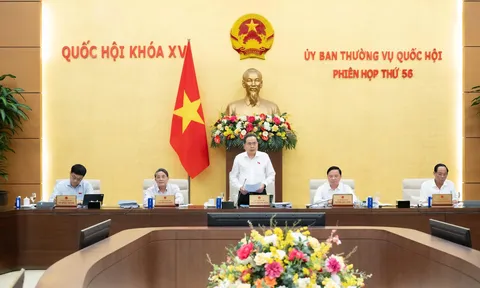 Phiên họp thứ 56 Ủy ban Thường vụ Quốc hội: Tổng rà soát hệ thống văn bản quy phạm pháp luật