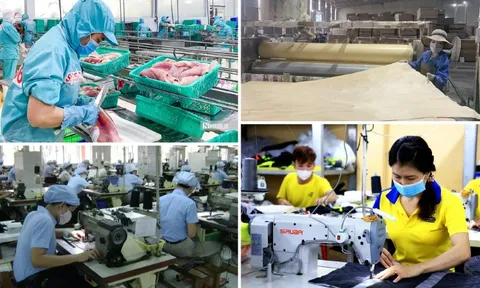 Vạch trần luận điệu sai trái về sự đối lập giữa kinh tế tư nhân và kinh tế Nhà nước