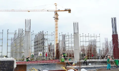 Phòng, chống tham nhũng, tiêu cực, lãng phí trong công tác đấu thầu