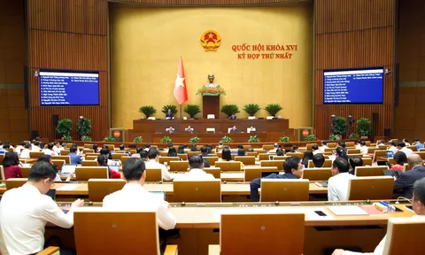 Thông cáo báo chí số 8, Kỳ họp thứ nhất, Quốc hội Khóa XVI