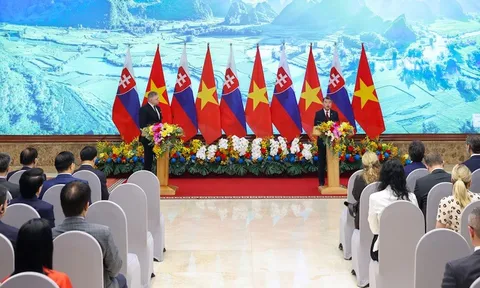 Hai Thủ tướng nhất trí nâng cấp quan hệ Việt Nam – Slovakia lên Đối tác chiến lược