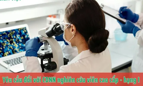 Tiêu chuẩn, điều kiện đặc cách thăng hạng nghiên cứu viên cao cấp?