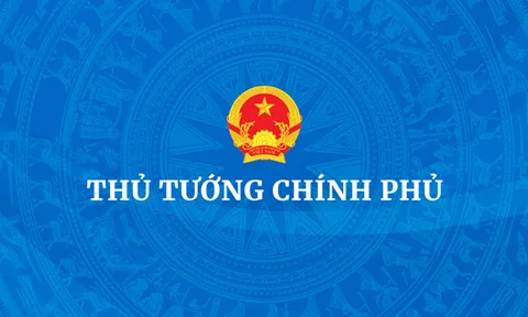 Thủ tướng Chính phủ có những quyền hạn, nghĩa vụ, trách nhiệm gì?
