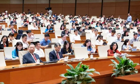 Rà soát các nội dung thuế có tính biến động cao, nghiên cứu sửa đổi toàn diện các luật về thuế