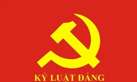 Ban Bí thư xem xét, thi hành kỷ luật đảng viên vi phạm