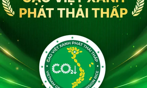 Gạo Việt xanh, phát thải thấp - thương hiệu của chất lượng, tính minh bạch và trách nhiệm môi trường