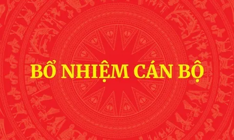 Bổ nhiệm Trợ lý Thủ tướng, Phó Thủ tướng Thường trực