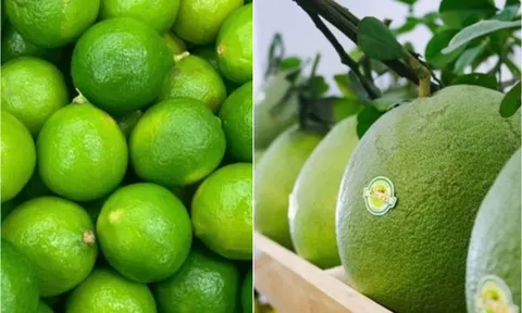 Thị trường Trung Quốc mở rộng với quả bưởi, quả chanh của Việt Nam như thế nào?