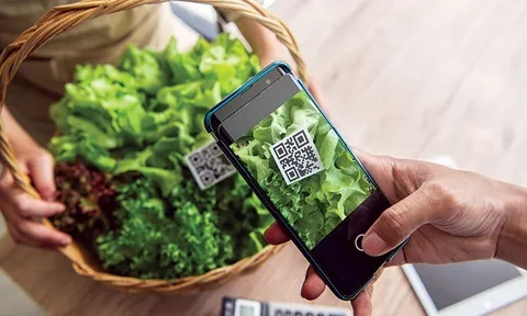 Kiên quyết xử lý tiêu cực trong cấp và quản lý mã số vùng trồng, bảo vệ uy tín nông sản Việt