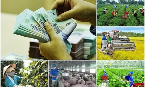 Chỉ thị về tập trung nguồn lực, đẩy nhanh tiến độ giải ngân vốn Chương trình mục tiêu Quốc gia năm 2026