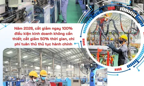 Cắt giảm điều kiện kinh doanh sẽ tạo ra tác động rất quan trọng cho nền kinh tế