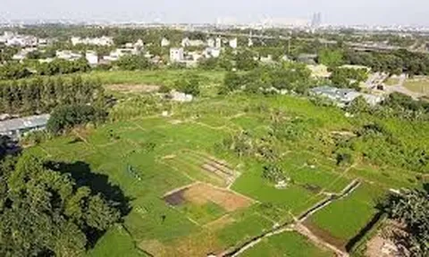 Kế hoạch triển khai cơ chế, chính sách đặc thù, xử lý vi phạm pháp luật về đất đai trước năm 2024