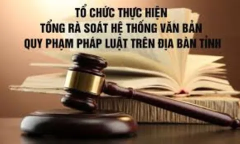 Nhiệm vụ tổng rà soát hệ thống văn bản quy phạm pháp luật thuộc trách nhiệm của cơ quan, đơn vị, địa phương