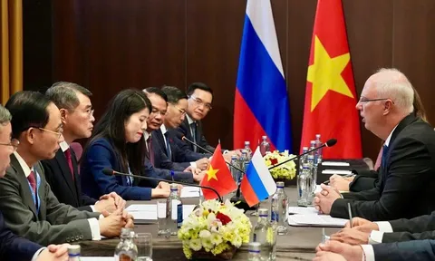 Tổng Giám đốc Quỹ Đầu tư trực tiếp Nga: Mong muốn hợp tác sâu rộng hơn với Việt Nam
