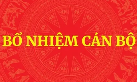 Bổ nhiệm tân Phó Chủ nhiệm Văn phòng Chính phủ