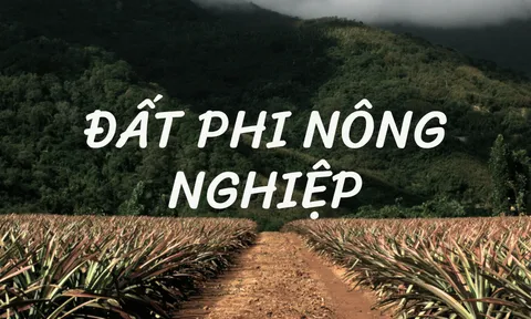 Bộ Tài chính đề xuất quy định mới về đối tượng chịu thuế sử dụng đất phi nông nghiệp