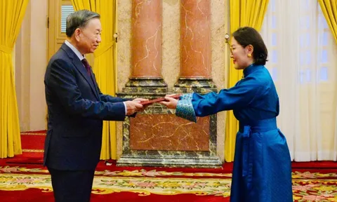 Tổng Bí thư, Chủ tịch nước Tô Lâm tiếp các Đại sứ trình Quốc thư