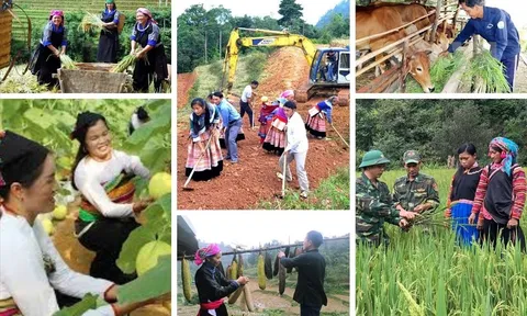 Thủ tướng: Lấy kết quả thực hiện, giải ngân để đánh giá mức độ hoàn thành nhiệm vụ và trách nhiệm của người đứng đầu