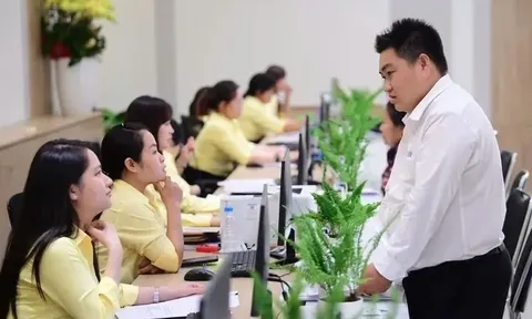 Quy định xếp lương cho viên chức theo vị trí việc làm?