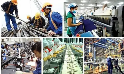Giám đốc Quốc gia ADB: Việt Nam tăng trưởng tích cực nhưng cần nhanh chóng nâng cao năng suất