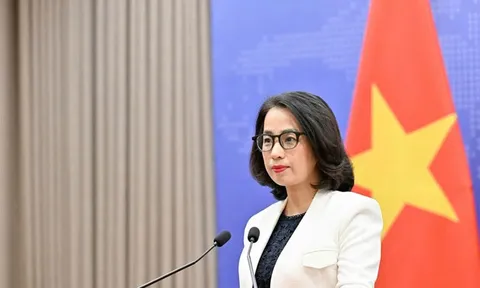 Việt Nam đề nghị các bên liên quan thực hiện nghiêm túc và đầy đủ Tuyên bố về ứng xử của các bên ở Biển Đông