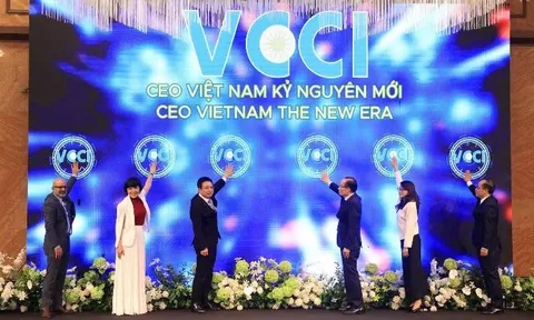 CEO Việt Nam kỷ nguyên mới hướng tới mạng lưới CEO có năng lực cạnh tranh quốc tế