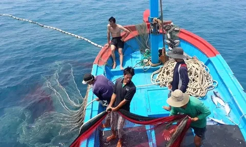 Phó Thủ tướng Hồ Quốc Dũng: Dồn toàn bộ công sức, nguồn lực để gỡ 'thẻ vàng' IUU trong năm 2026