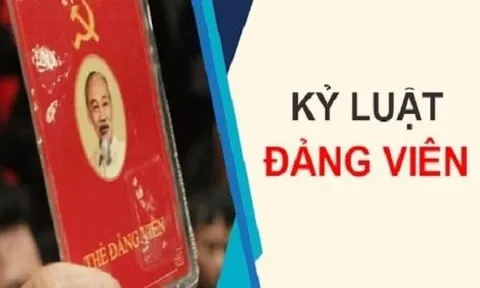 Ban Bí thư xem xét khai trừ khỏi Đảng, đảng viên vi phạm