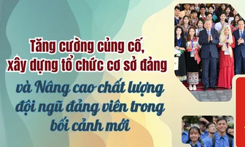 Kết luận của Bộ Chính trị, Ban Bí thư về tình hình hoạt động của tổ chức cơ sở đảng