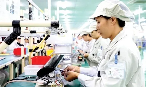 Chủ tịch EuroCham: Nghị quyết 10 tạo niềm tin để doanh nghiệp Châu Âu mở rộng đầu tư tại Việt Nam
