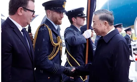 Tổng Bí thư, Chủ tịch nước Tô Lâm tới New Zealand, tiếp Quyền Chủ tịch Hội Hữu nghị New Zealand-Việt Nam