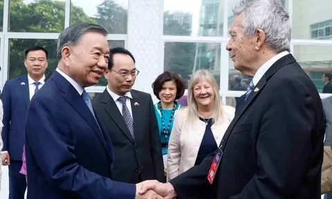 Việt Nam - New Zealand hợp tác thiết thực trong phát triển nguồn nhân lực chất lượng cao
