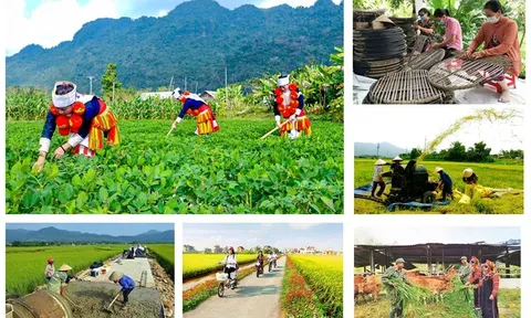 Tích hợp 4 Chương trình mục tiêu quốc gia đảm bảo nguồn lực được phân bổ rõ ràng, trọng tâm