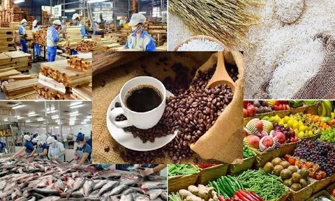 Năm trụ cột nâng tầm vị thế cho nông, lâm sản Việt Nam trên bản đồ giá trị toàn cầu