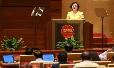 Phó Thủ tướng Phạm Thị Thanh Trà: Thiết lập cơ chế nhân tài dẫn dắt nhân tài, khắc phục tình trạng đố kỵ, sợ người giỏi