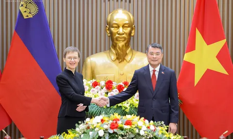 Thủ tướng Lê Minh Hưng hội đàm với Thủ tướng Liechtenstein Brigitte Haas