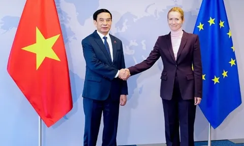 Hợp tác quốc phòng Việt Nam - EU ngày càng mở rộng