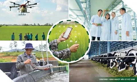 Phó Thủ tướng Hồ Quốc Dũng: Năm 2027, ít nhất 30% đề tài nghiên cứu phải có doanh nghiệp cụ thể tham gia hợp tác