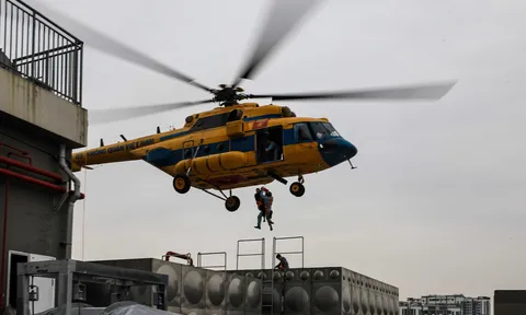 Giữ lấy sự sống trên nóc nhà cao tầng