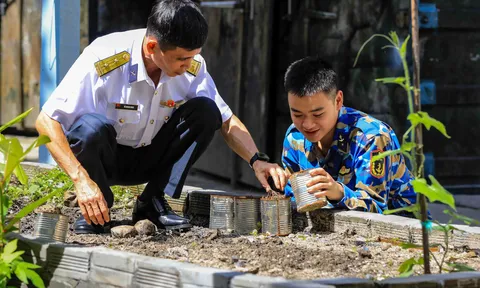 Phủ xanh cát mặn