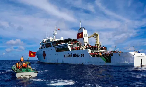 Năm mùa hoa trên sóng