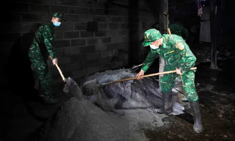 Ấm lại những nếp nhà biên viễn