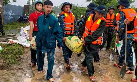 Bộ đội Tiểu đoàn 64 kịp thời chung sức gia cố vững đê Vàng