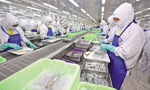 Nhiều địa phương phục hồi ấn tượng về số doanh nghiệp quay trở lại hoạt động