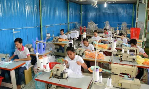 PGS.TS Vũ Tuấn Hưng: TP Hồ Chí Minh nên chú trọng nhân lực số