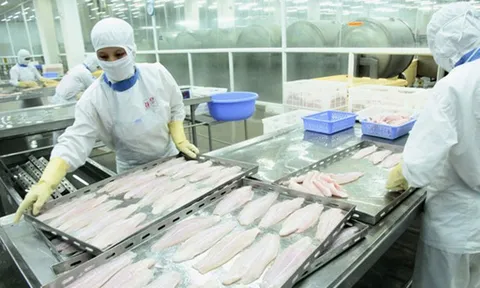 Nặng gánh chi phí xét nghiệm, doanh nghiệp khó tuyển lao động